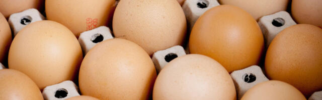 Kako se kreću cene jaja pred Uskrs? U ponudi od prepeličijih do guščijih, ove metode farbanja su u modi
