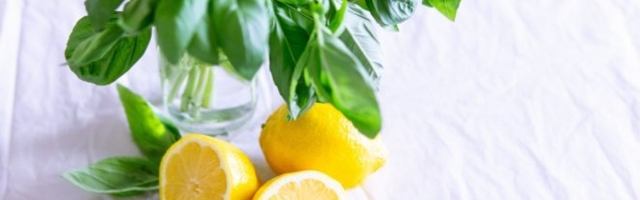 OVU VOĆKU MOŽETE DA STAVITE U KREMU ILI LOSION - Napravite sami preparate za negu!