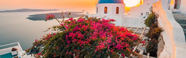 Grčko cveće: otkrijte mitsku lepotu mediteranske flore