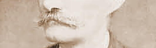 Kula Beograd zasijala u čast čuvara dečjeg osmeha: Omaž velikom Jovanu Jovanoviću Zmaju