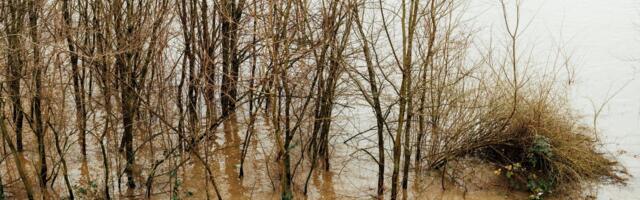 Poplave u Severnoj Makedoniji: 220 ljudi evakuisano u Kičevu