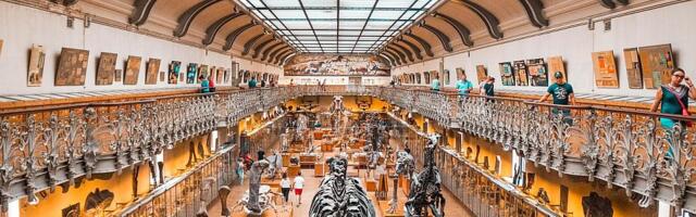 Pronađen najstariji otisak kloake jednog dinosaurusa: Evo zašto je to naučnicima važno