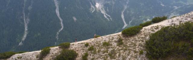 Бугарин проглашен мртвим нађен жив након 12 година