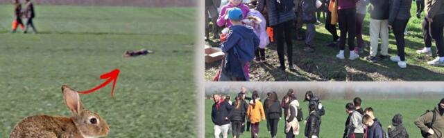 Ne broje se samo sove, već i zečevi! Ovaj banatski grad je itekako specifičan (FOTO)