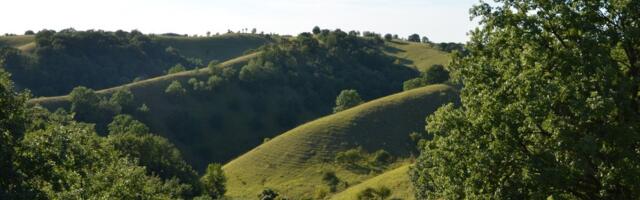 Srpska Sahara za džabe: Ovo je idealno mesto za proslavu Prvog maja (FOTO)