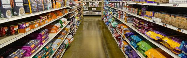 Povlači se hrana za pse zbog prisustva SALMONELE: Čak i ljudi mogu dobiti INFEKCIJU- Nemci na oprezu