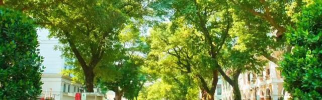 Prvi susret sa provincijom Guangdung (Serija: Kina, zamisli nezamislivo)