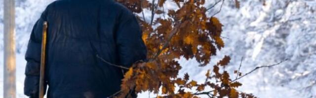 Veroučitelj Aleksandar objašnjava: Šta raditi sa Badnjakom ukoliko ste u stanu i niste ga spalili?