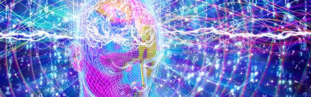 Sasvim novo viđenje načina na koji naš mozak koristi kategorije da bi razumeo svet