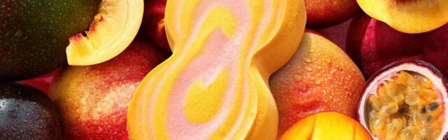 Sorbet - sladoled sa samo 72 kalorije koji će biti hit ovog leta!