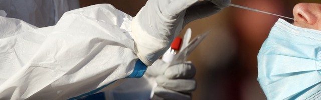 Veliki skok novozaraženih u Novom Sadu i Nišu