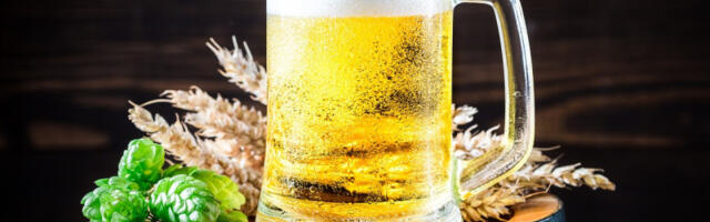 Pivare u Nemačkoj sve više pod pritiskom ekonomske krize: Još jedna odlazi u stečaj, ugroženo oko 60 radnih mesta