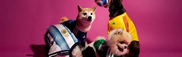 Bizarno ili kreativno? Adidas predstavio dresove namenjene psima za Svetsko prevenstvo u fudbalu