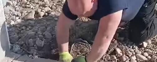 ŠOK U RESTORANU NA JUGU SRBIJE Razbio beton pa ZANEMEO OD PRIZORA! Nisu mogli da zamisle da se ovde sakrivao! Usledila drama "Ima oko 180 cm" (VIDEO)