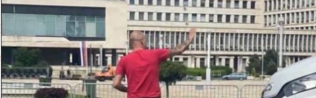 Neobični šetači: Beograđanin koji je zaustavio saobraćaj zbog ovih "pešaka" je totalni car