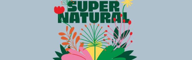 Supernatural festival 2025 se odlaže za kasniji termin