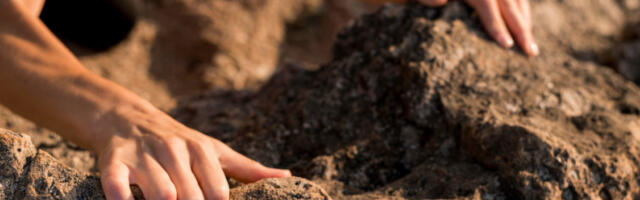 Монументална гробница из гвозденог доба откривена у Швајцарској