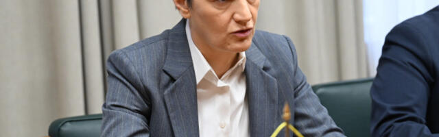 Ана Брнабић: Пицула не представља ни Европски парламент ни ЕУ