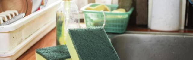 Ne bacajte stari sunđer za sudove: Nećete verovati koliko je koristan u kući