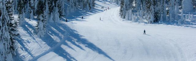Dečak (16) poginuo na skijanju u Salcburgu: Očevici opisali užas
