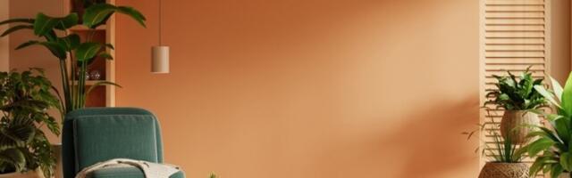 Kutak kuće koji je magnet za novac: Biljke postavite na OVO MESTO