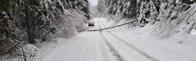Sneg zavejao ovaj deo Srbije! Nestvarne slike usred marta: Ovako nije bilo ni tokom zime