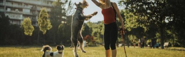 SJAJNA VEST ZA SVE KOJI IMAJU PSA: Ovaj grad za ljubimce isplaćuje do 75 evra, evo koje uslove treba ispuniti da biste dobili subvenciju!