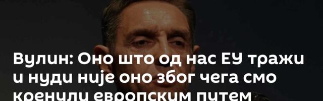 Вулин: Оно што од нас ЕУ тражи и нуди није оно због чега смо кренули европским путем