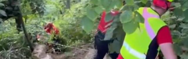 DRAMA NA FRUŠKOJ GORI Muškarac pao sa drveta - usledila akcija spasavanja (FOTO)