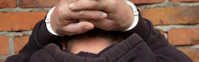 Pritvor za Marokanca: Osumnjičen da je udario policajca u Padinskoj skeli