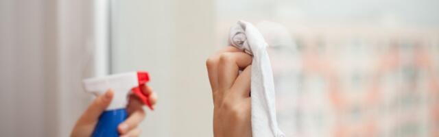 Deset neočekivanih namirnica iz kuhinje koje savršeno čiste prozore