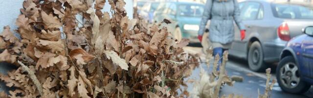 Svaki položajnik mora da zna ova pravila! Detaljan spisak svega što treba da uradi - uloga je jasna