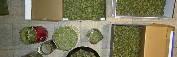 U KUĆI OD NAGAZNE MINE, PREKO KUTIJE BARUTA DO 1,8 KG MARIHUANE