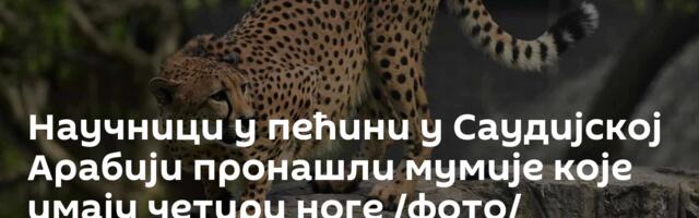 Научници у пећини у Саудијској Арабији пронашли мумије које имају четири ноге /фото/