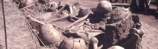 Nasilje i smrt u bronzano doba: Otkrića iz drevne masovne grobnice u Srbiji