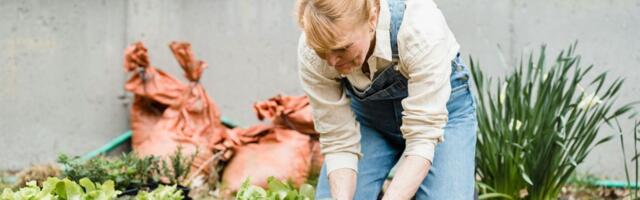 Štetočine beže od ovog začina - biljke postaju zdravije za par dana