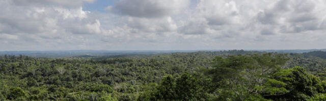 Срушио се хеликоптер: нема преживелих у несрећи на острву Борнео