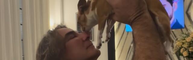 (FOTO) Pas Željka Mitrovića u brendiranoj haljini od čipke: Čivavin garderober vredi čitavo bogatstvo