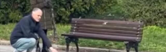 Snimak sa Kališa je nešto NAJSLAĐE što ćete videti: Dok su ljudi šetali, oko njih je skakutala RAZIGRANA I PITOMA VEVERICA (VIDEO)