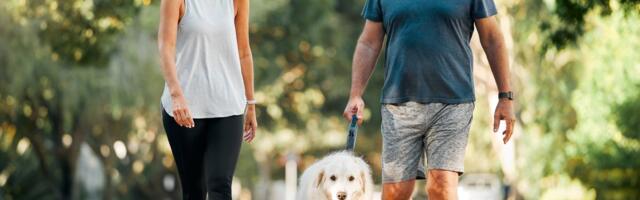 Stručnjaci savetuju: Kako pravilno birati obuću kod osteoartritisa kolena i kuka, bez povećanja rizika