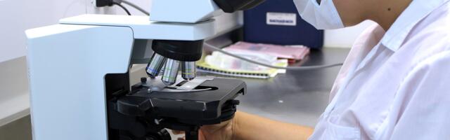 Ruski naučnici razvili model za predviđanje starenja imunog sistema