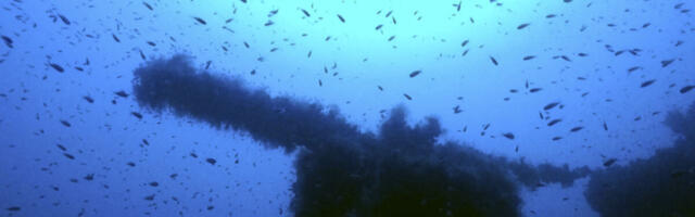 "SVE SMO OČEKIVALI, ALI OVO..." Vojska pronašla podmornicu koja je potonula pre 100 godina, jedno ih je ŠOKIRALO!