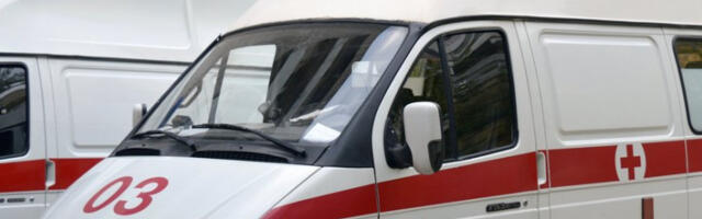 Пас напао петогодишње дете у  Сопоту