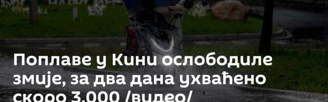 Поплаве у Кини ослободиле змије, за два дана ухваћено скоро 3.000 /видео/
