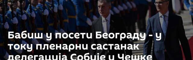 Бабиш у посети Београду - у току пленарни састанак делегација Србије и Чешке