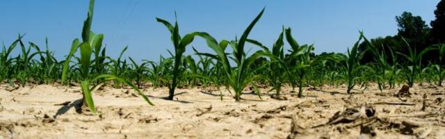 KRIZNA VREMENSKA PROGNOZA SVETSKIH METEOROLOGA! Čeka nas pakleno leto, a u avgustu prete strašne oluje