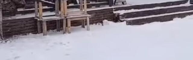 Sneg na Kopaoniku se NE ŠALI (FOTO, VIDEO)