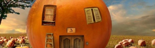 VIDITE LI ŽIVOTINJU NA SLICI? Deca su je ODMAH UOČILA, starijima će to biti MALO TEŽE! Tu je, samo ne obraćate pažnju! (FOTO)