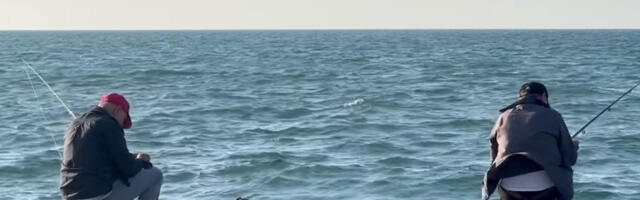 Ribari u šoku: Mreže im pune neočekivanih stvorenja, ima ih 13 puta više nego inače