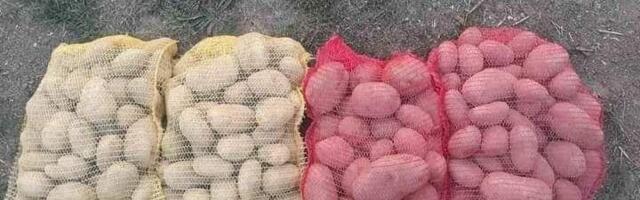 Iskoristite je u svom domaćinstvu: Mrežicu od krompira svi bacaju, a zapravo nam može rešiti tri najveća problema u kuhinji